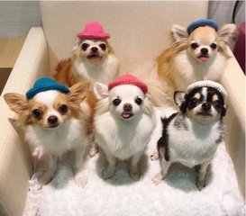 itoken钱包官网