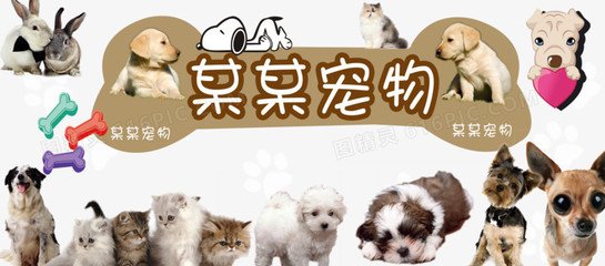okpay钱包是正规吗
