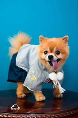最新imtoken钱包下载