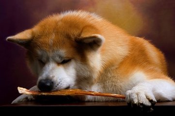 token钱包怎么买币