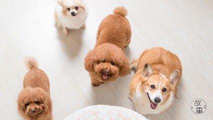 imtoken钱包怎么登录