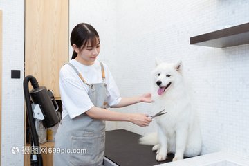 okpay支付钱包如何提现