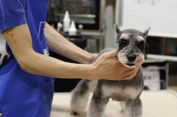 由于okpay钱包合同到期