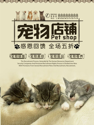 okpay钱包交易犯法吗