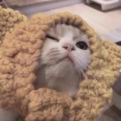ok交易所钱包