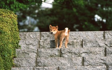 bitkeep钱包