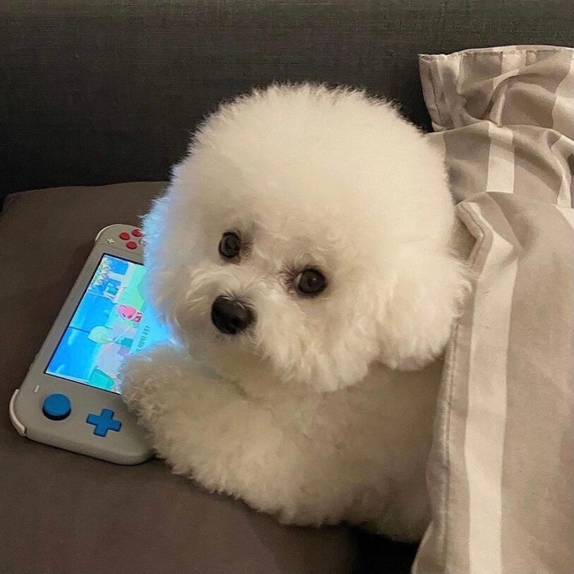小狐狸钱包苹果手机版安装