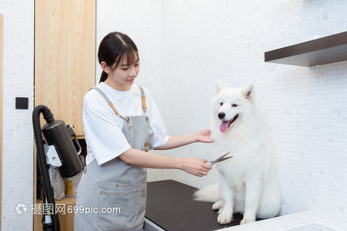 日本能用okpay钱包吗