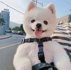 ok钱包下载地址